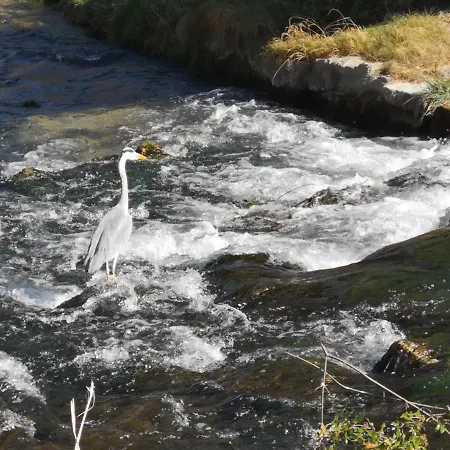 Im Haus Lotus Mit Grossem Balkon Und Garten * Бад-Урах