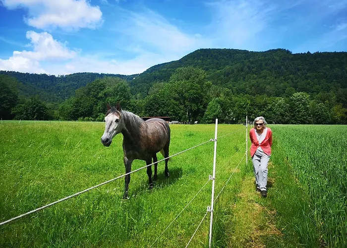 Im Haus Lotus Mit Grossem Balkon Und Garten *
